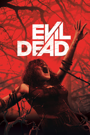 Evil Dead 2013 Hindi Dual Audio 480p BluRay 300MB - Movierulz