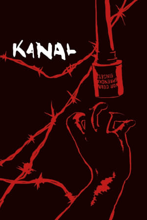 Kanal 2015 Hindi Dual Audio 480p UnCut HDRip 450MB - Movierulz