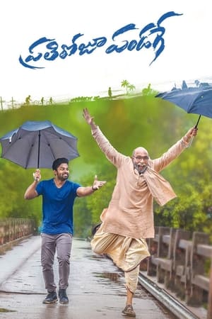 Prati Roju Pandage (Har Din Diwali) (2019) Hindi Dubbed 480p HDRip 400MB - Movierulz