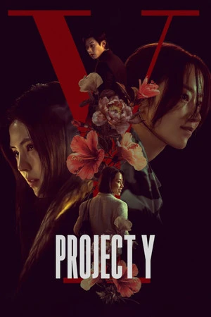Project Y 2026 Hindi - Korean Dual Audio WEB-DL 720p - 480p - 1080p - Movierulz