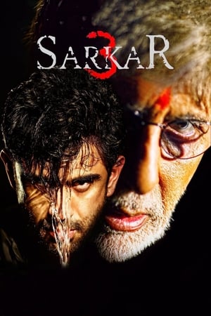 Sarkar 3 2017 Full Movie DVDRip 720p [700MB] Download - Movierulz